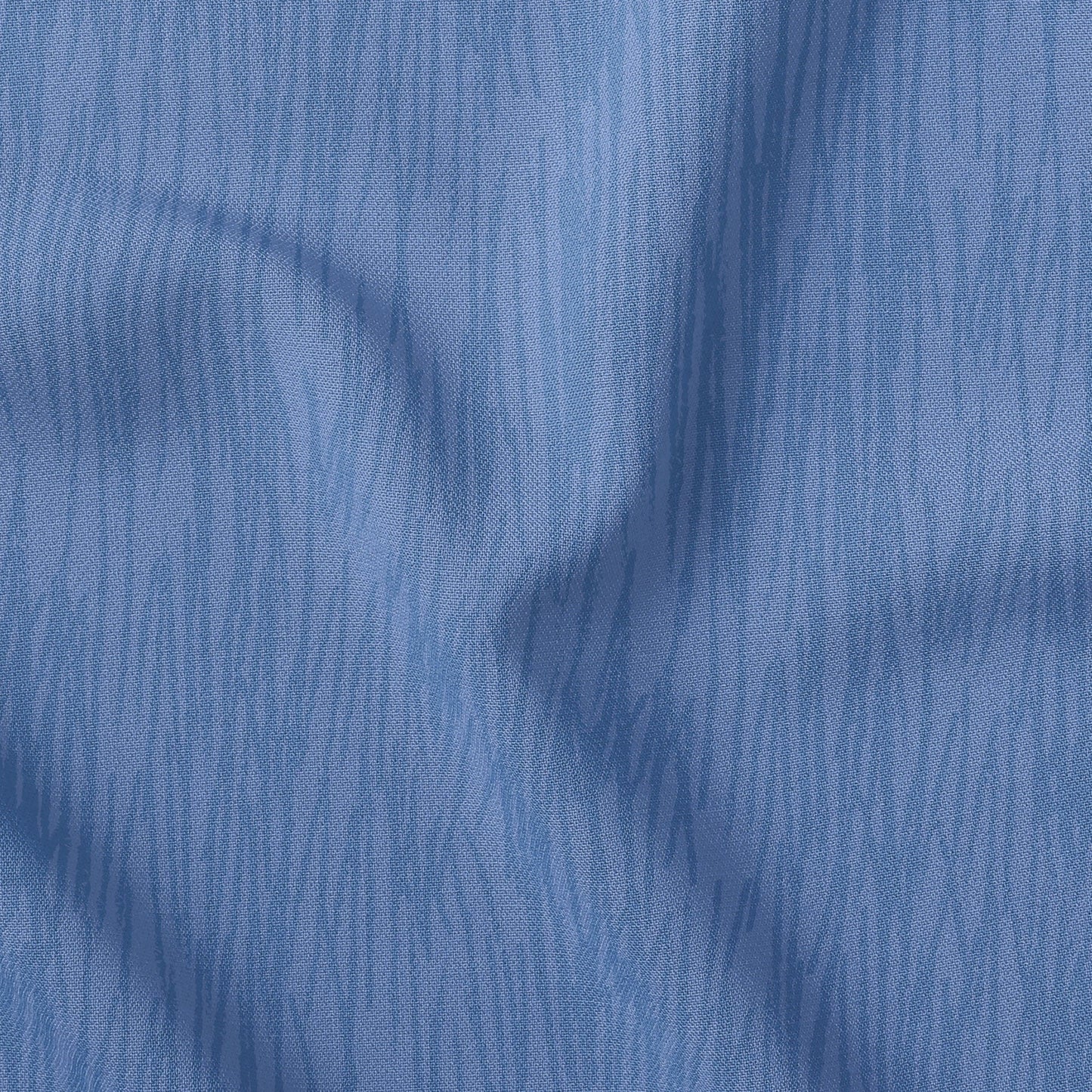 Etch Mountain Bluebird