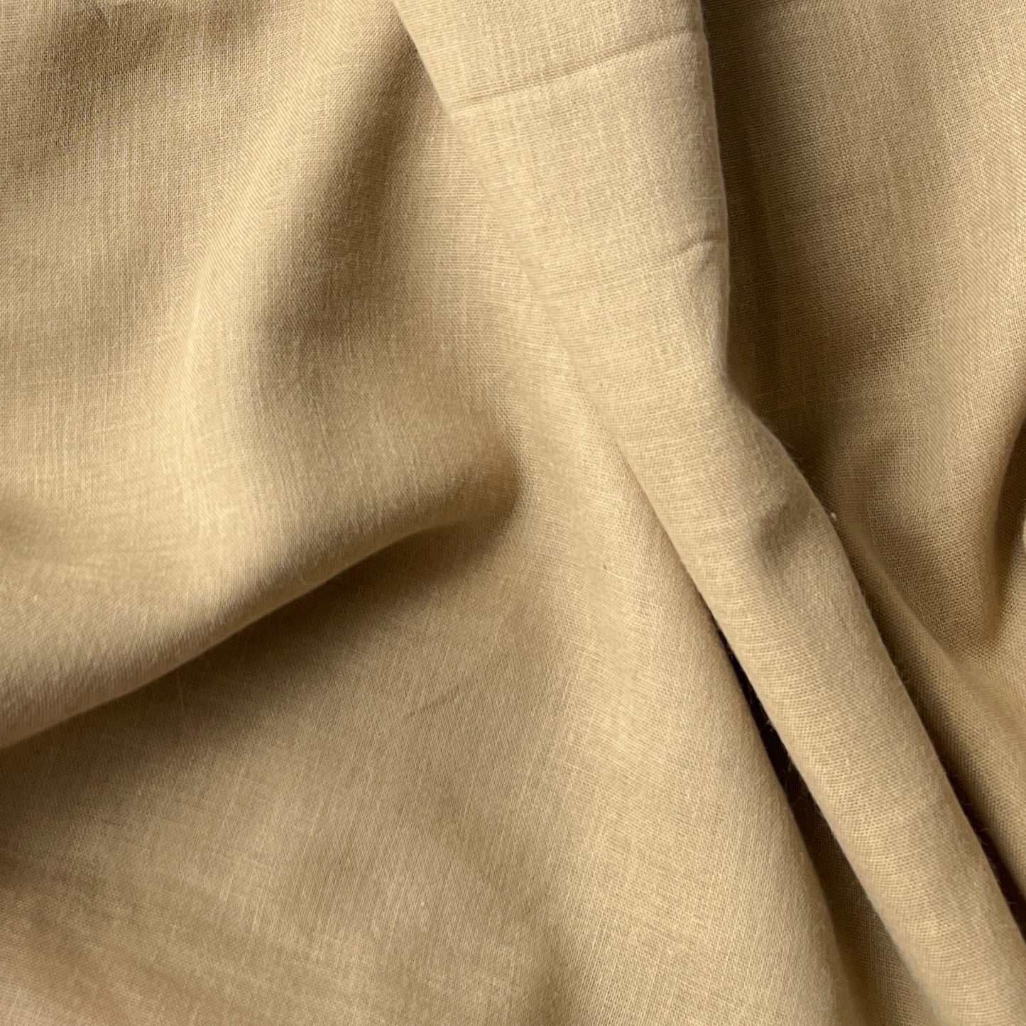 Cotton Voile Porcini