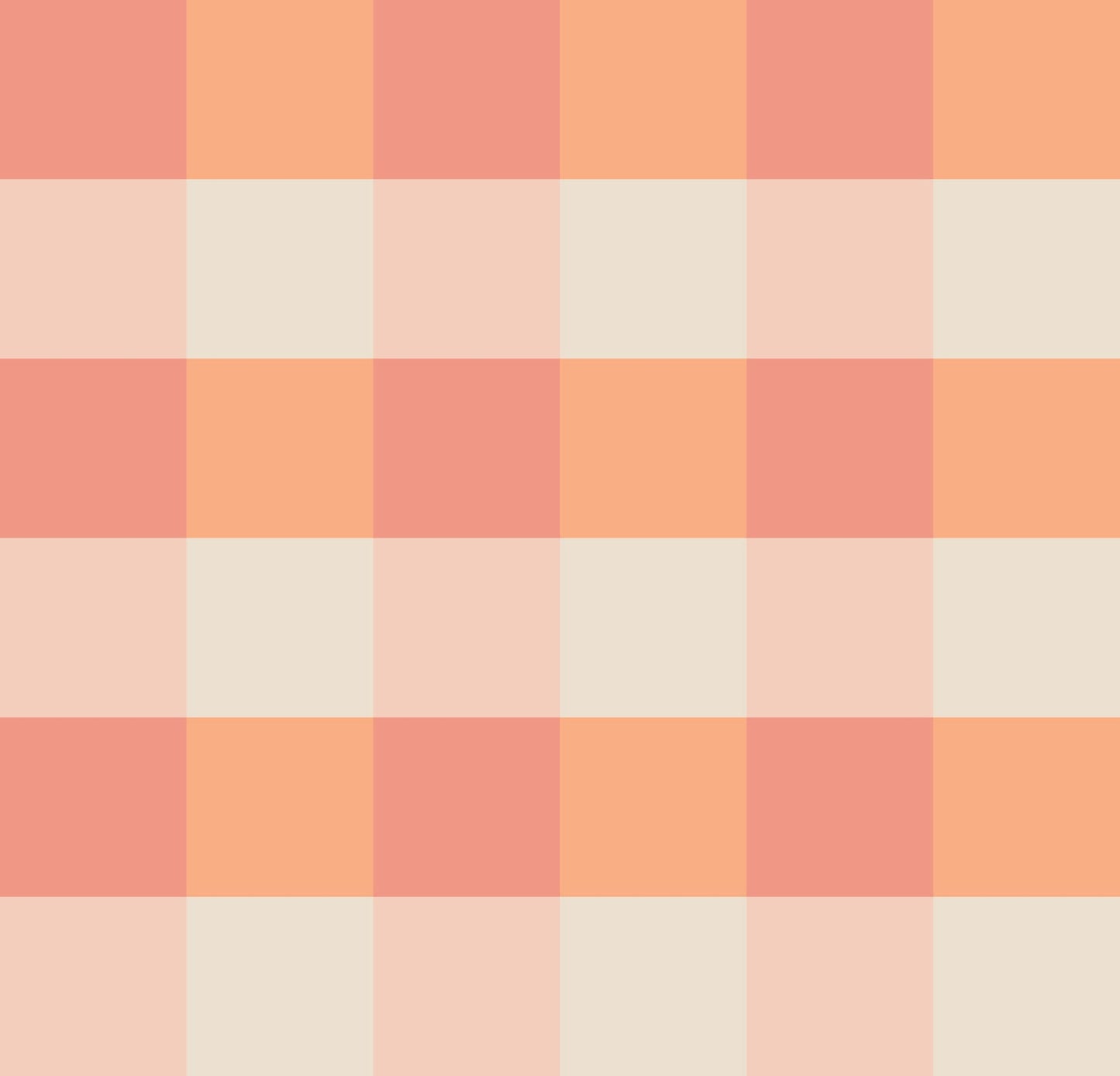 Simple Gingham Terra Solis Peach