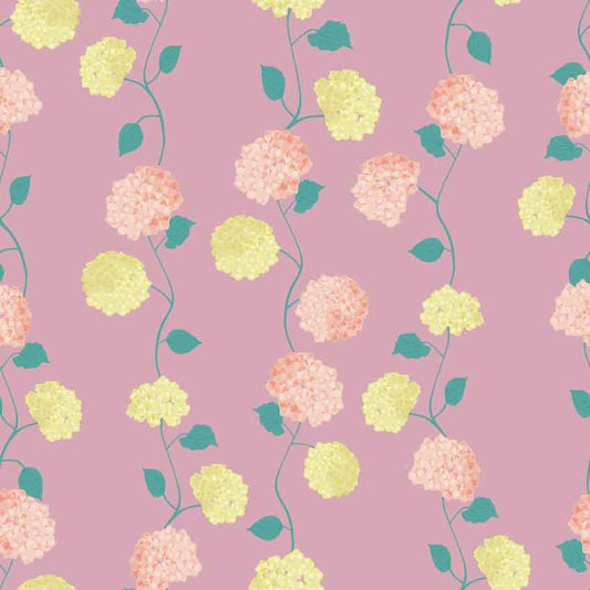 Picnic Parade Pretty Hydrangea  - Evening Sand