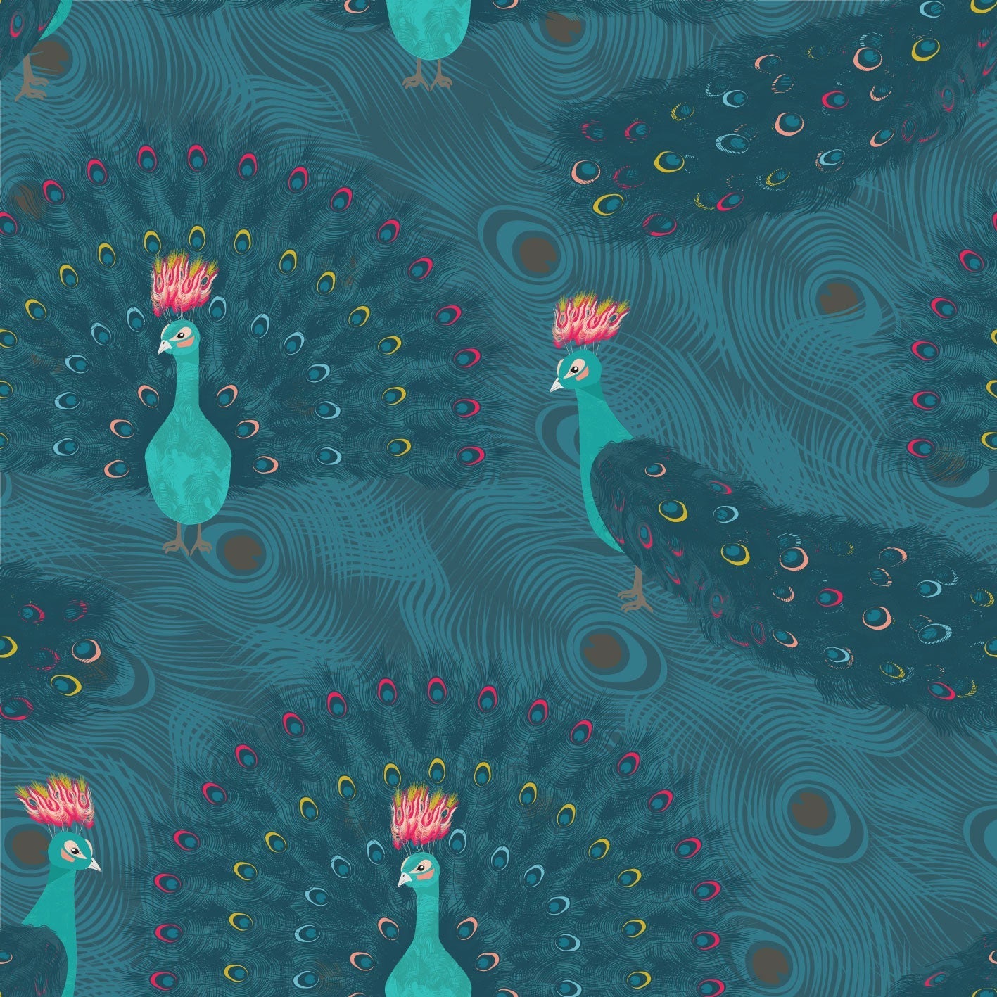 Fancy Peacock Mediterranea - Teal