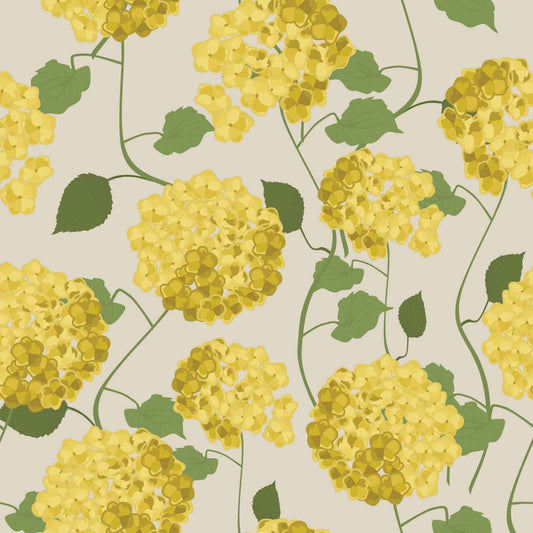 Floating Hydrangea Tapioca -