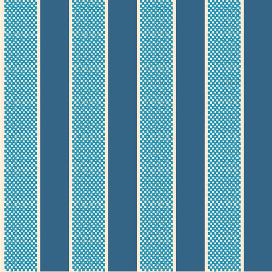 Harlequin Stripe Denim