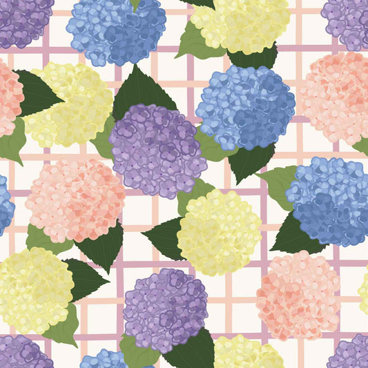 Hydrangea Wall Gossamer Garden