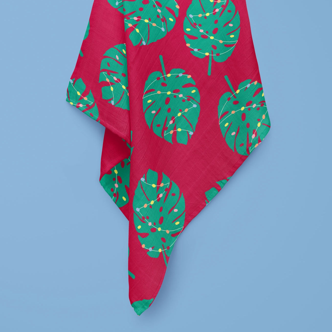 Monstera Christmas Cherry