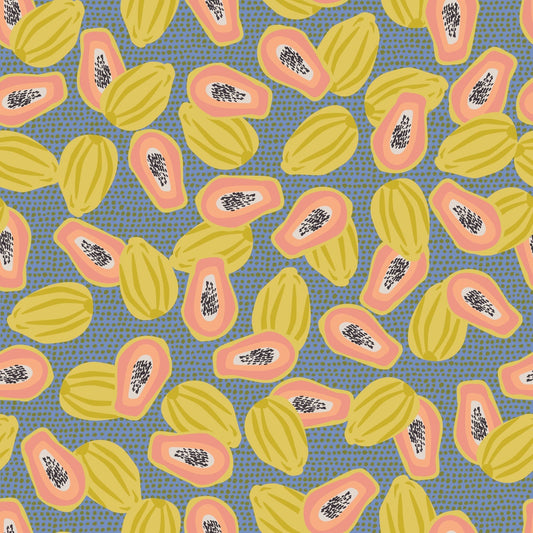 Papaya Mountain Bluebird