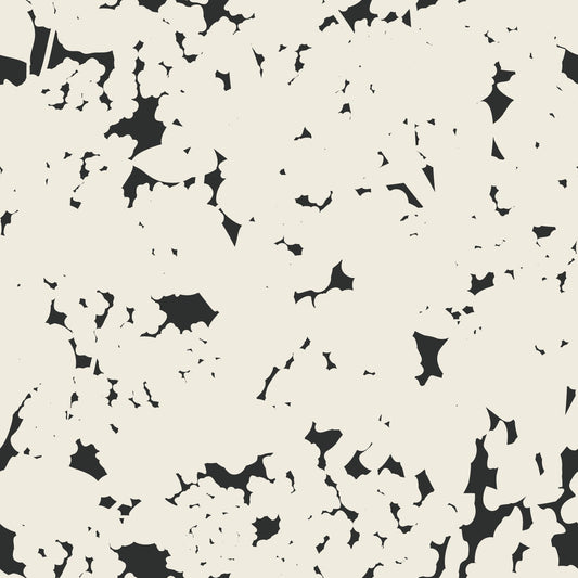 Soft Hydrangea  Tapioca - Moonless Night