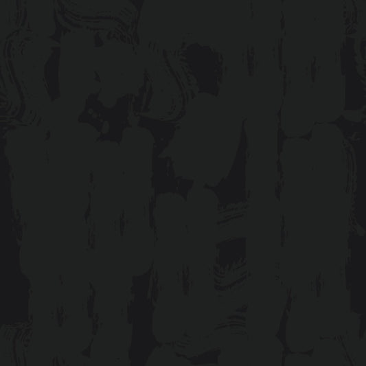 Two-Tone Paint Moonless Night