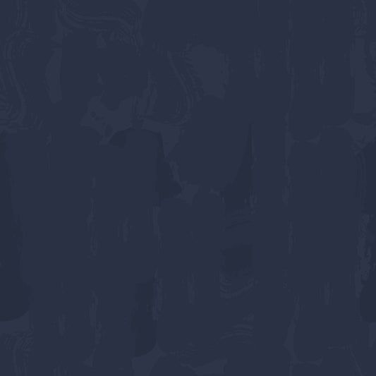 Two-Tone Paint Naval Academy