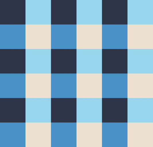 Simple Gingham Dopamine Drift Blue