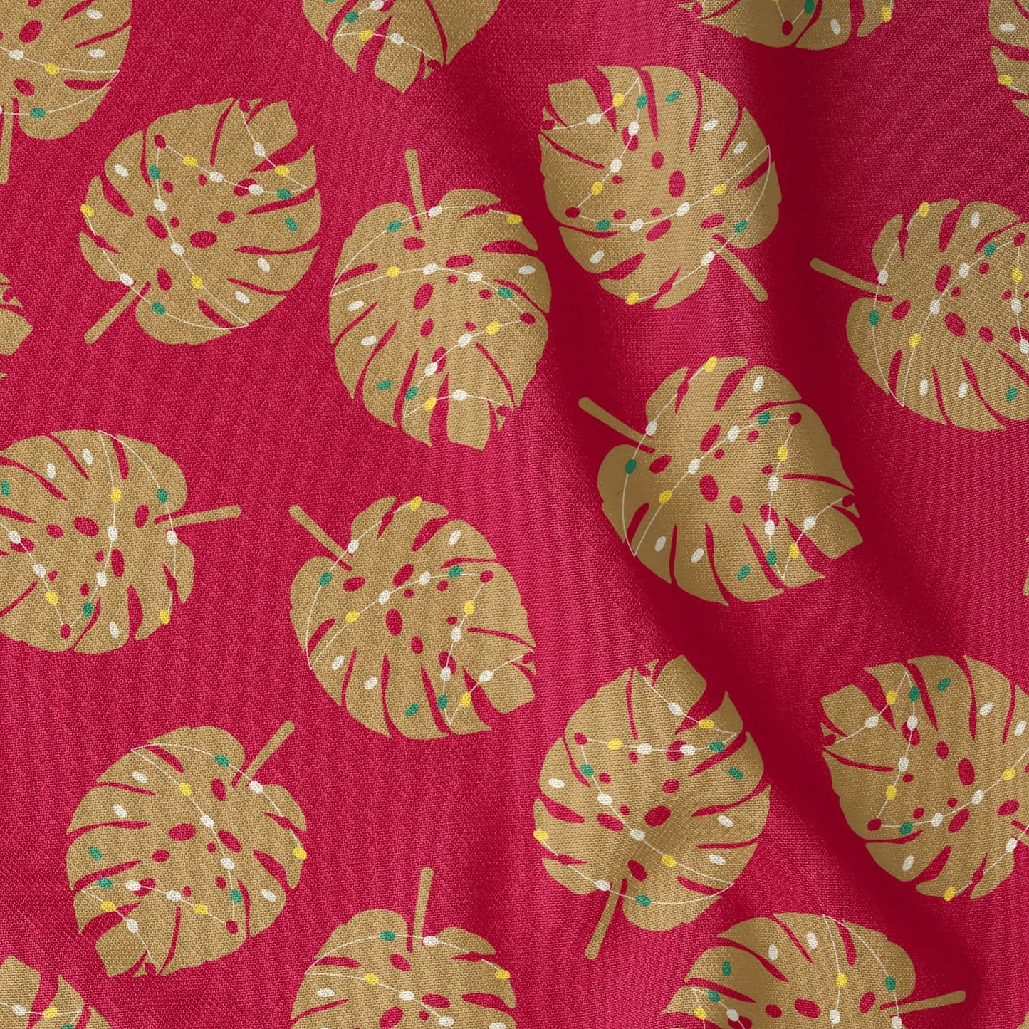 Monstera Christmas Cherry